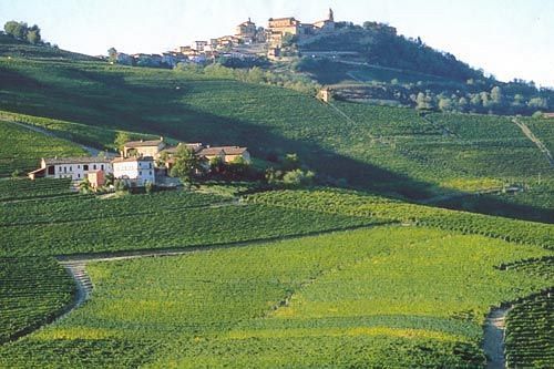 Cascina Rocca - Guest House Castiglione Falletto Dış mekan fotoğraf